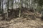 overview of the mound