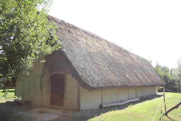 External view of a farm